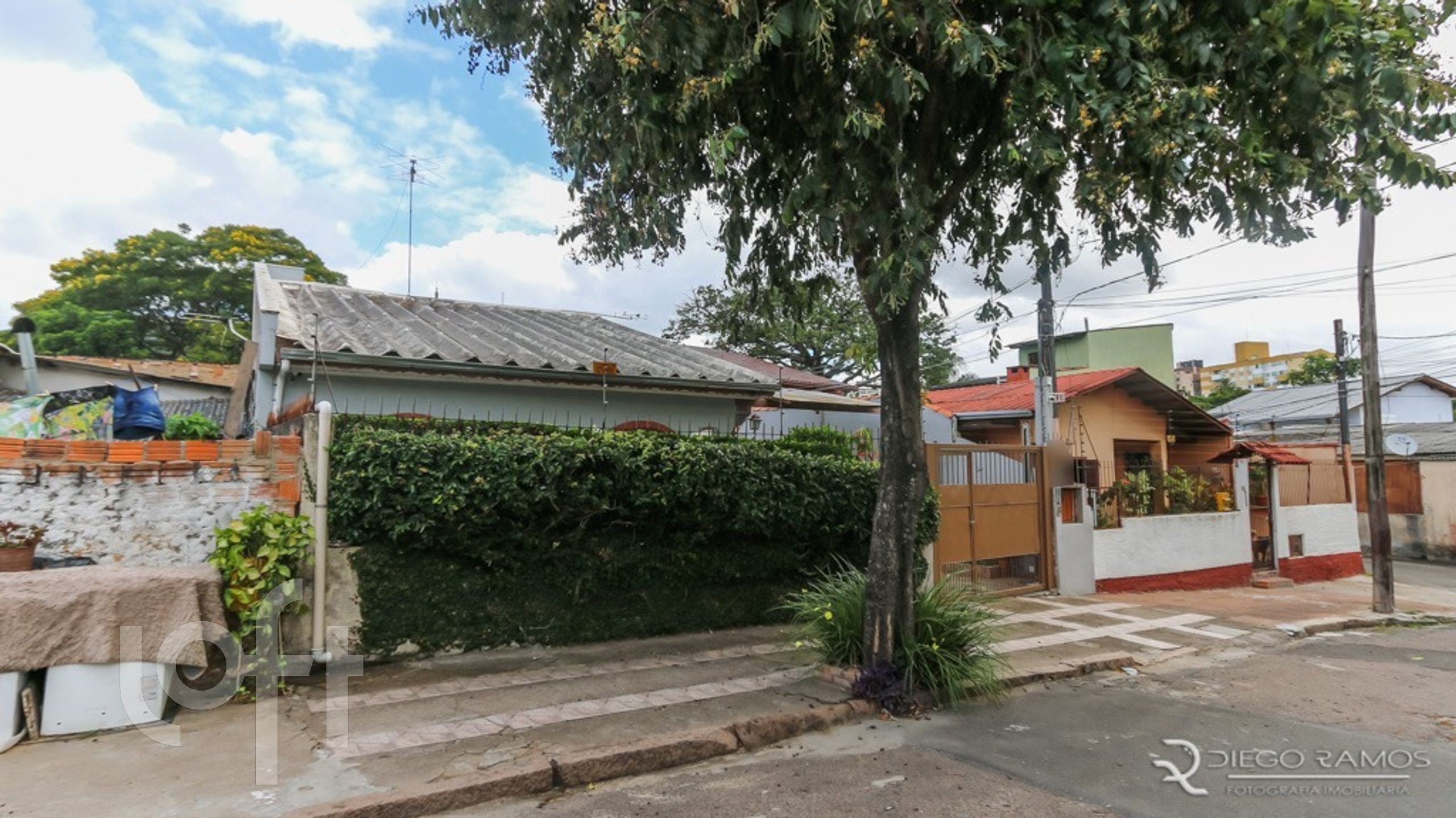 Imagem da propriedade 35