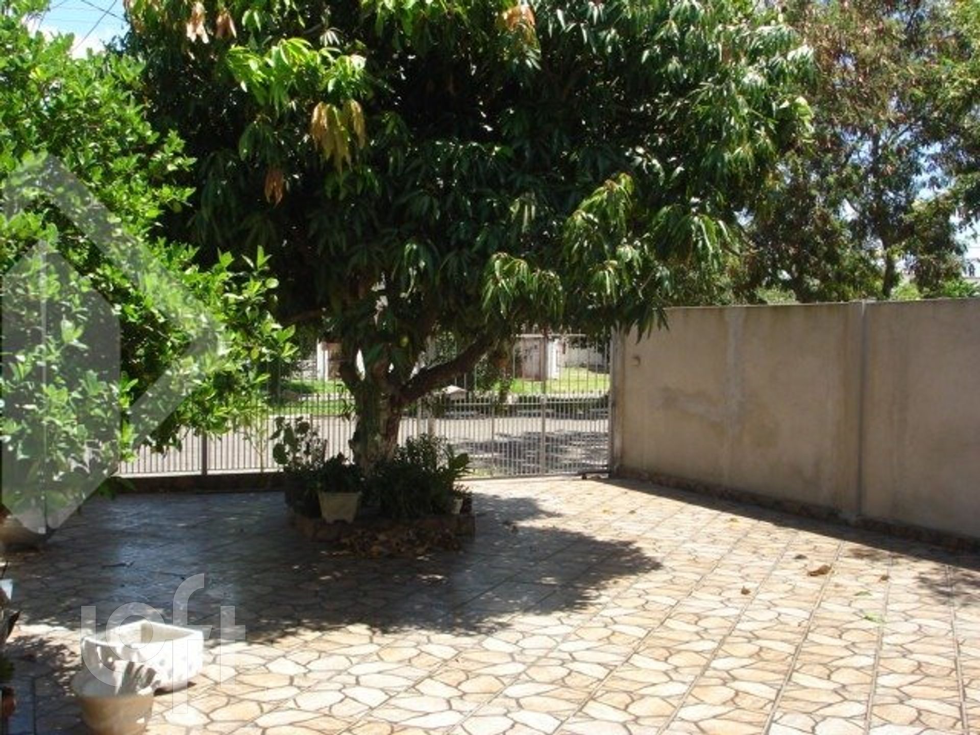 Imagem da propriedade 30