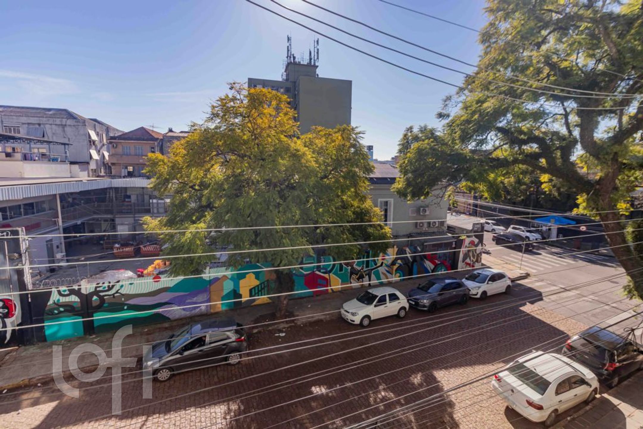 Imagem da propriedade 5