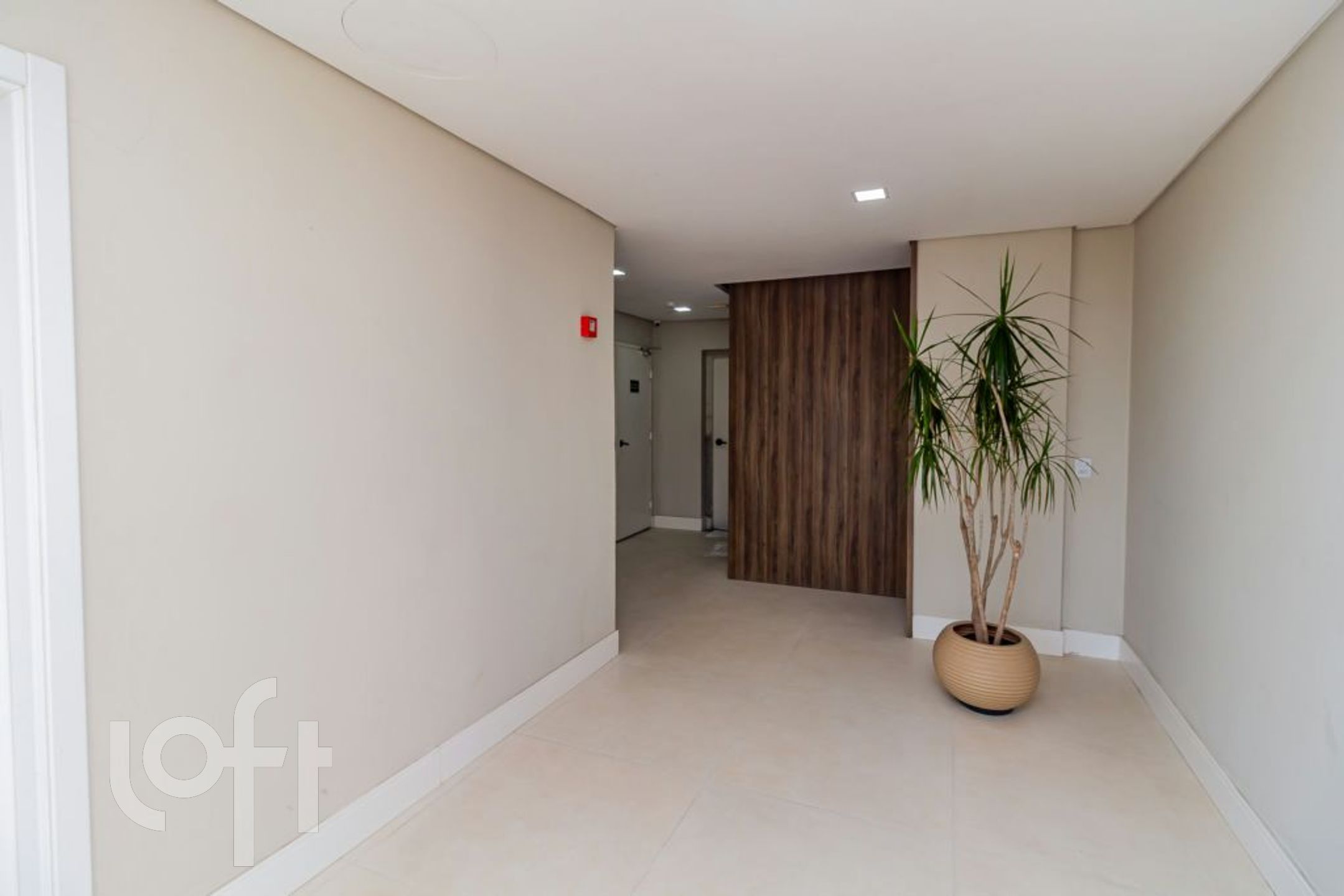 Imagem da propriedade 25