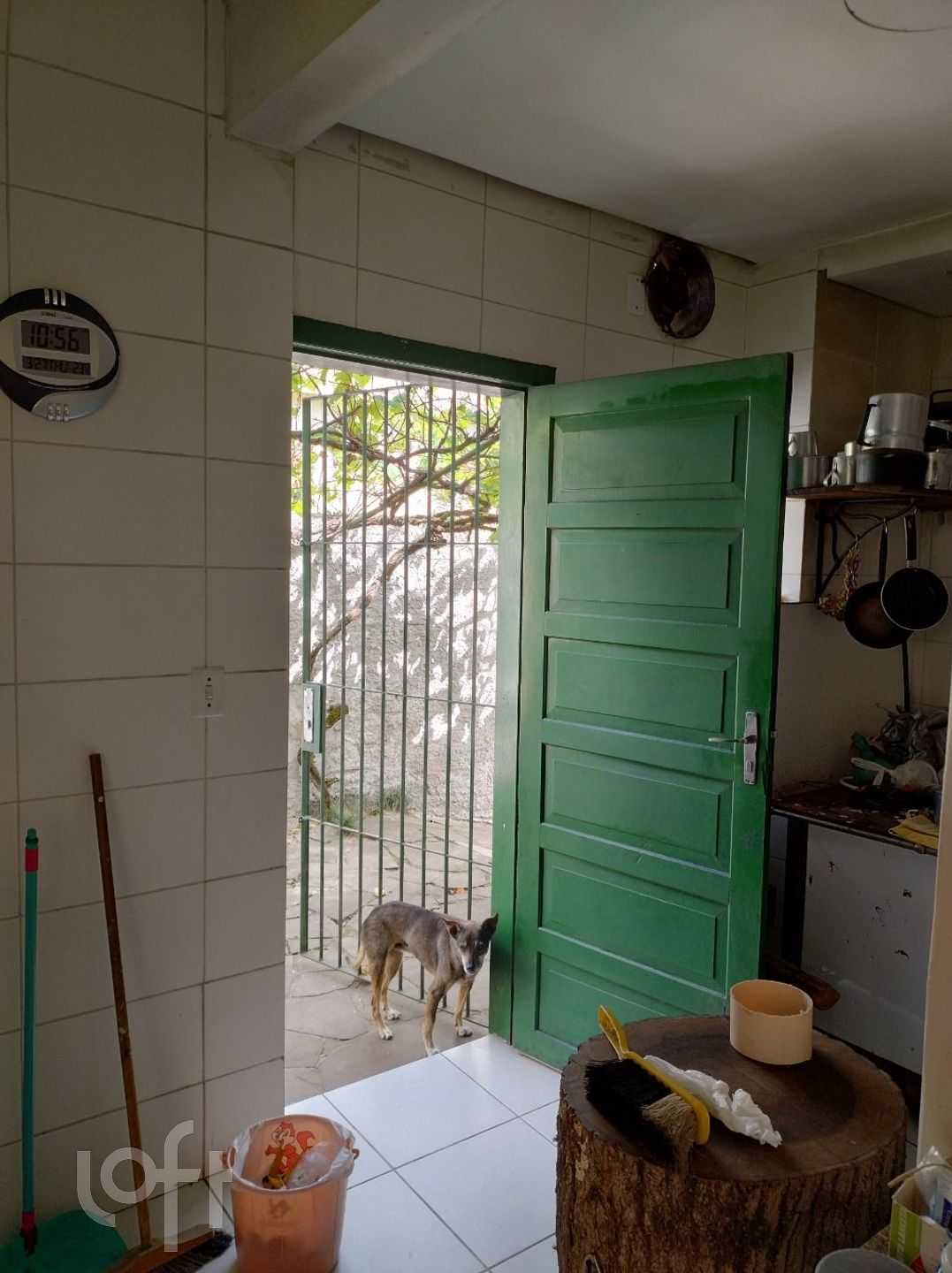 Imagem da propriedade 15