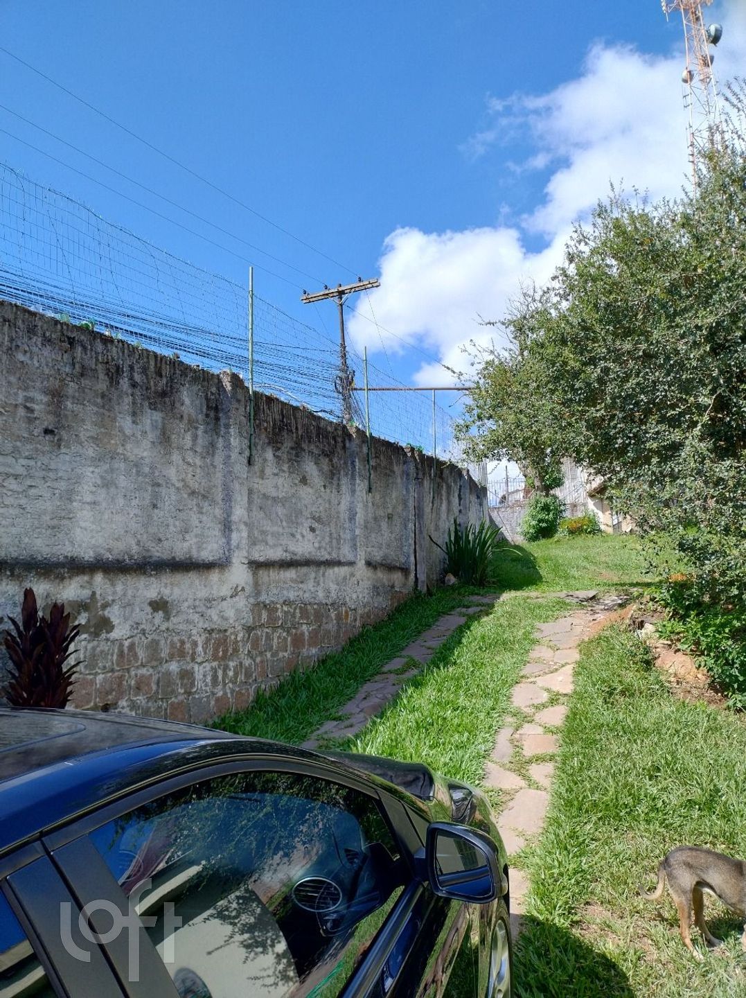 Imagem da propriedade 6