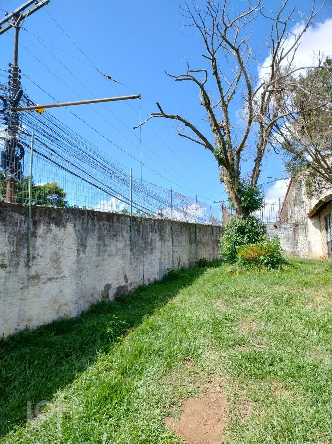 Imagem da propriedade 9