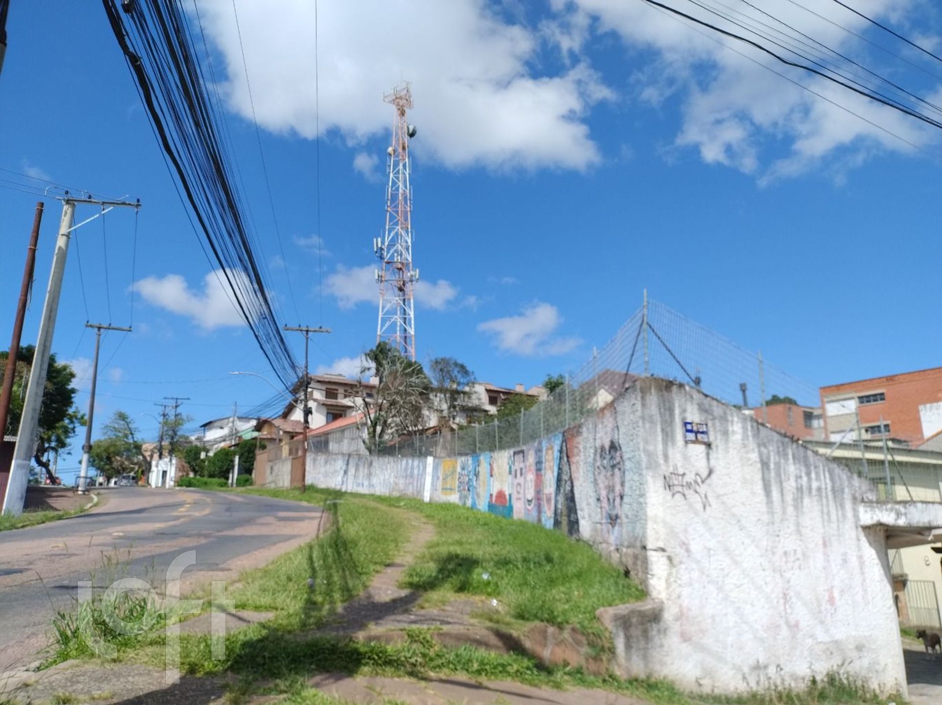 Imagem da propriedade 18