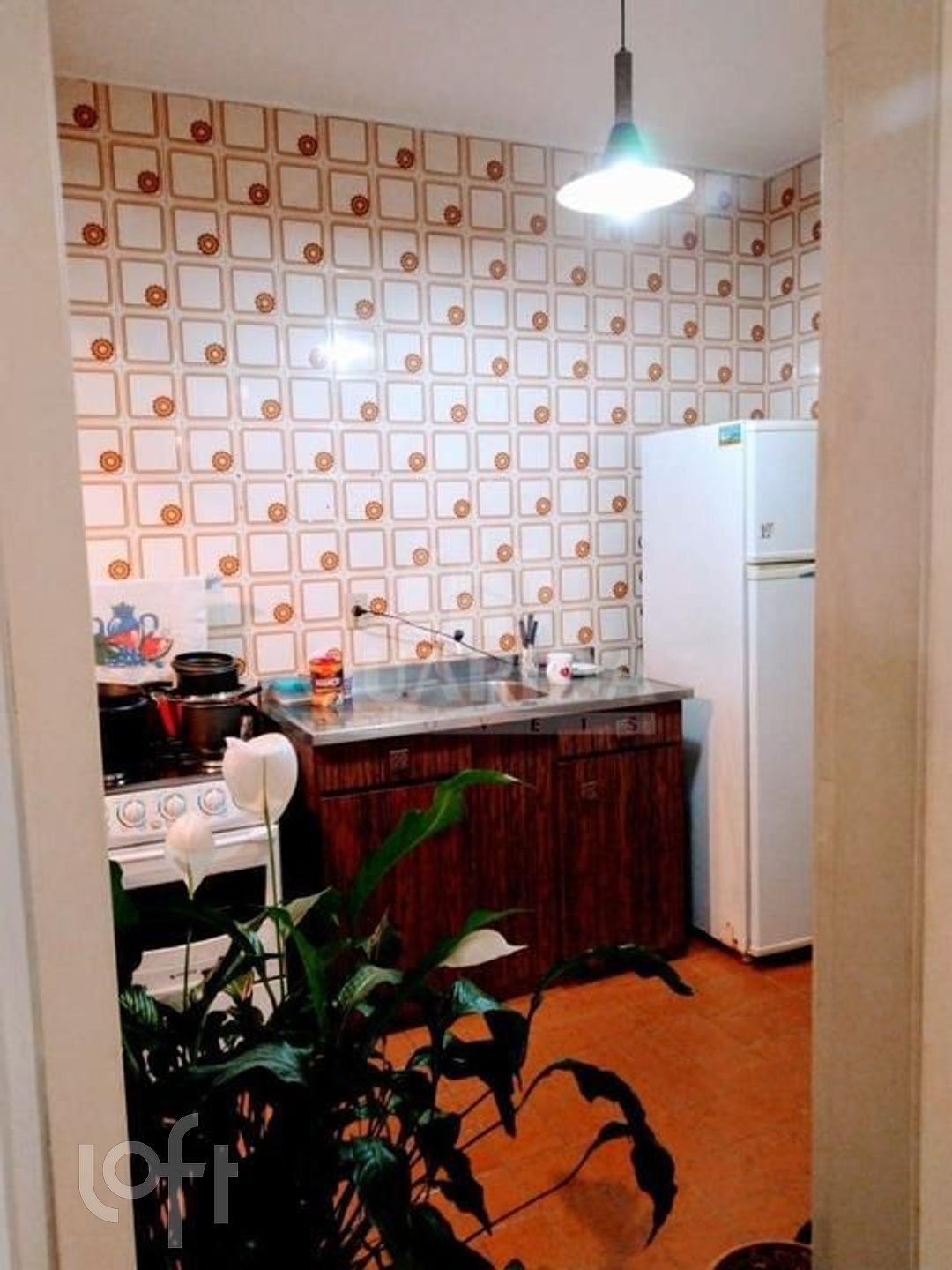 Imagem da propriedade 14