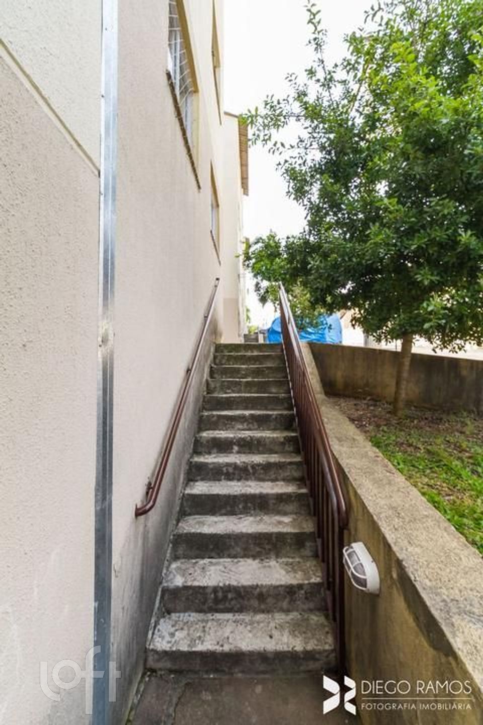 Imagem da propriedade 39