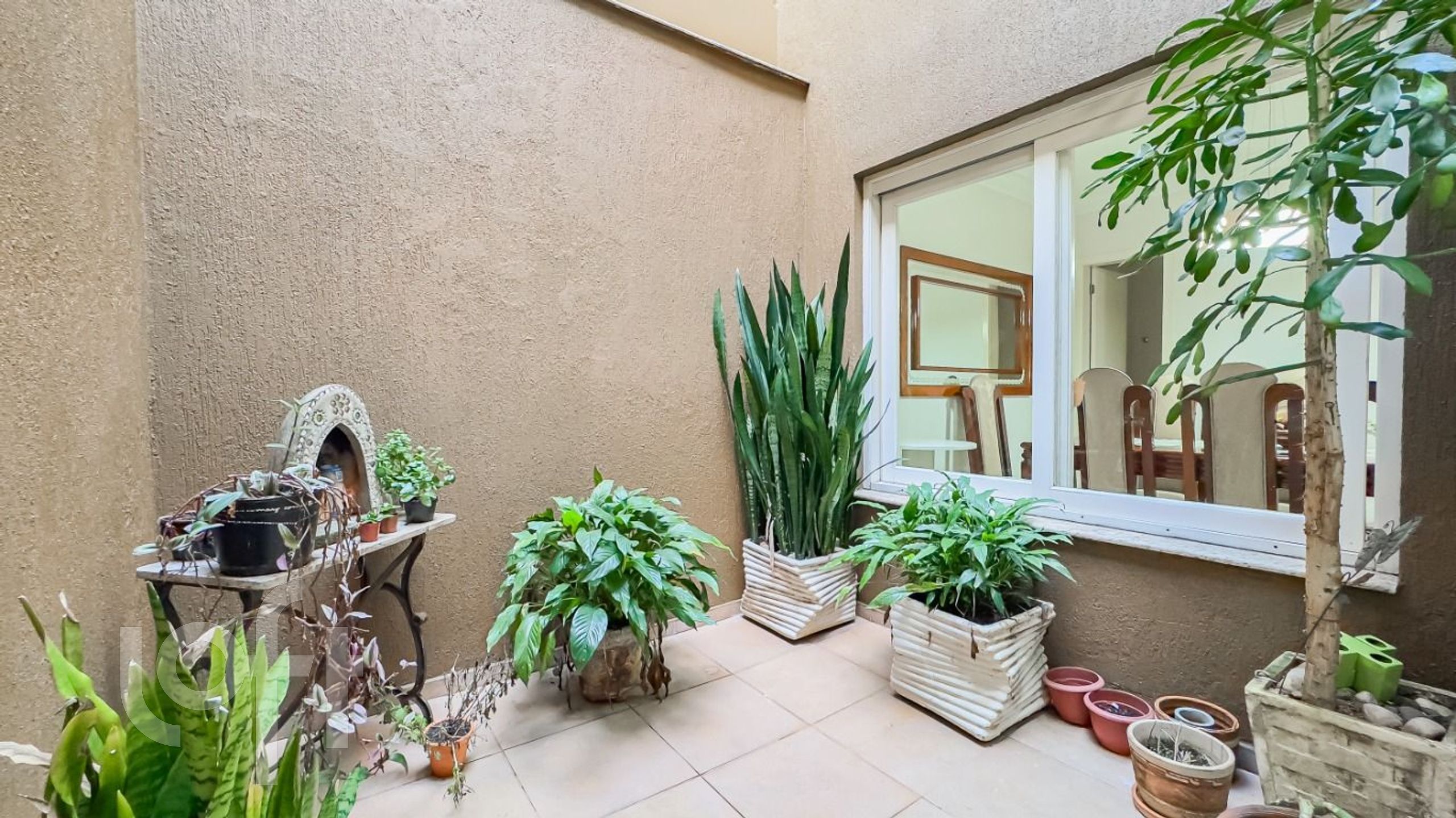 Imagem da propriedade 6