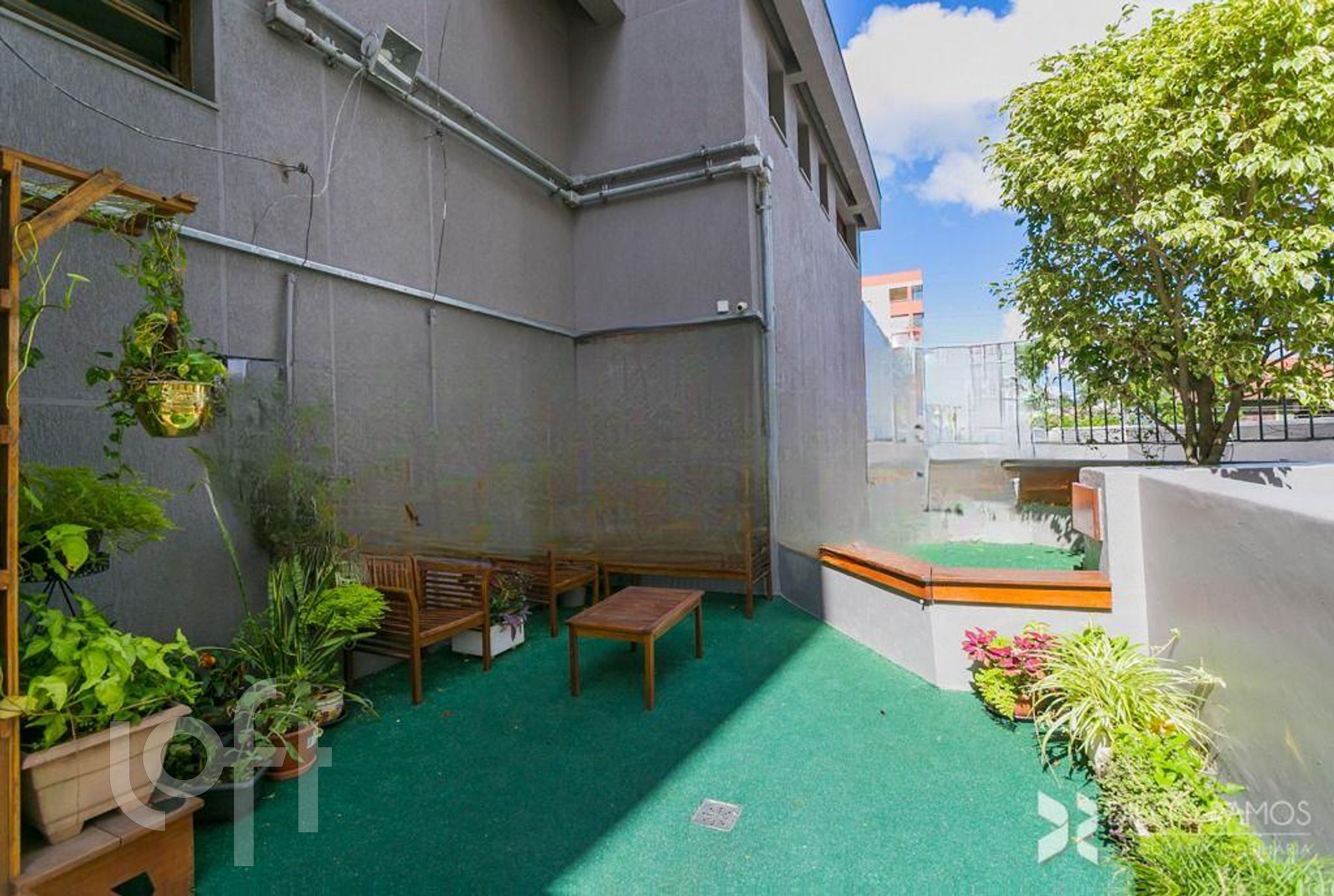 Imagem da propriedade 27