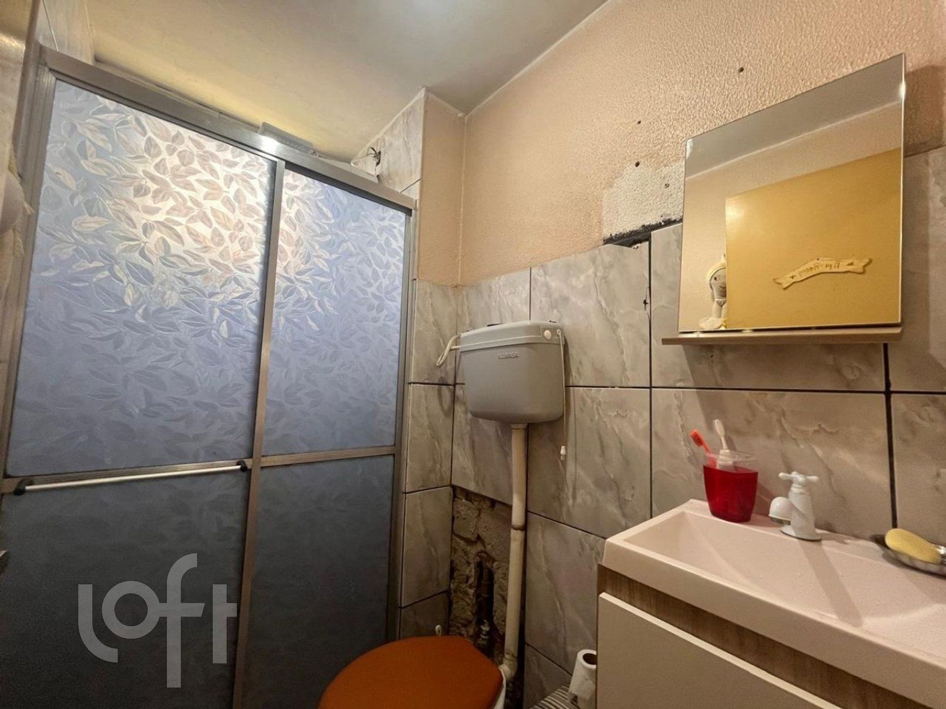 Imagem da propriedade 11