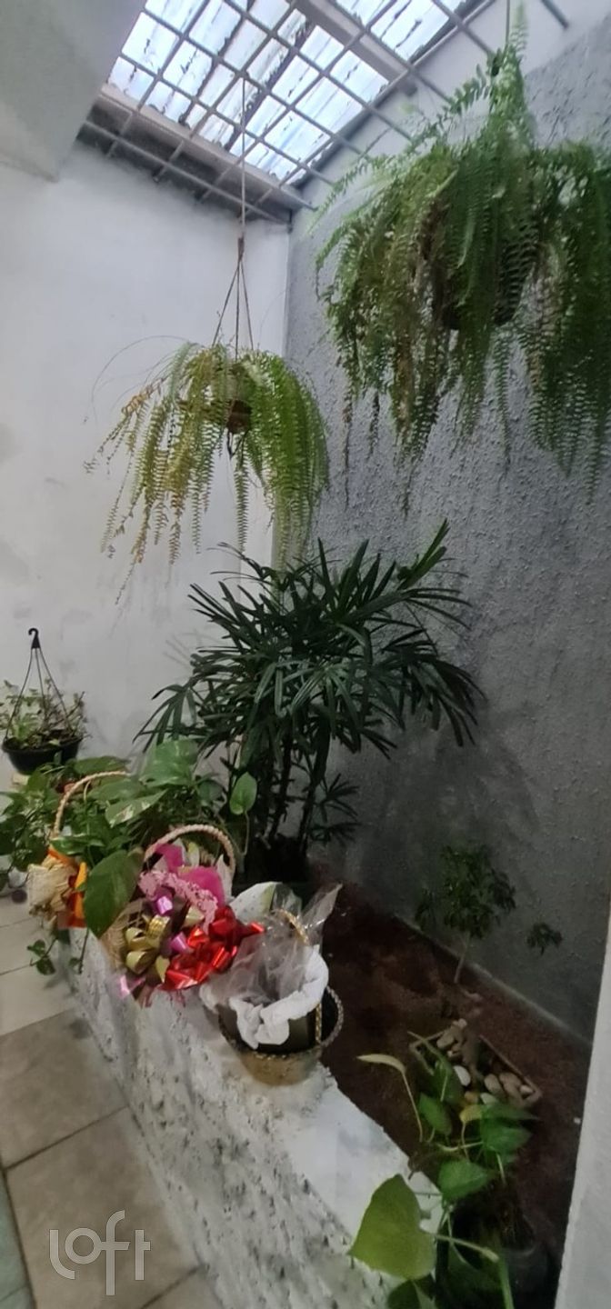 Imagem da propriedade 31