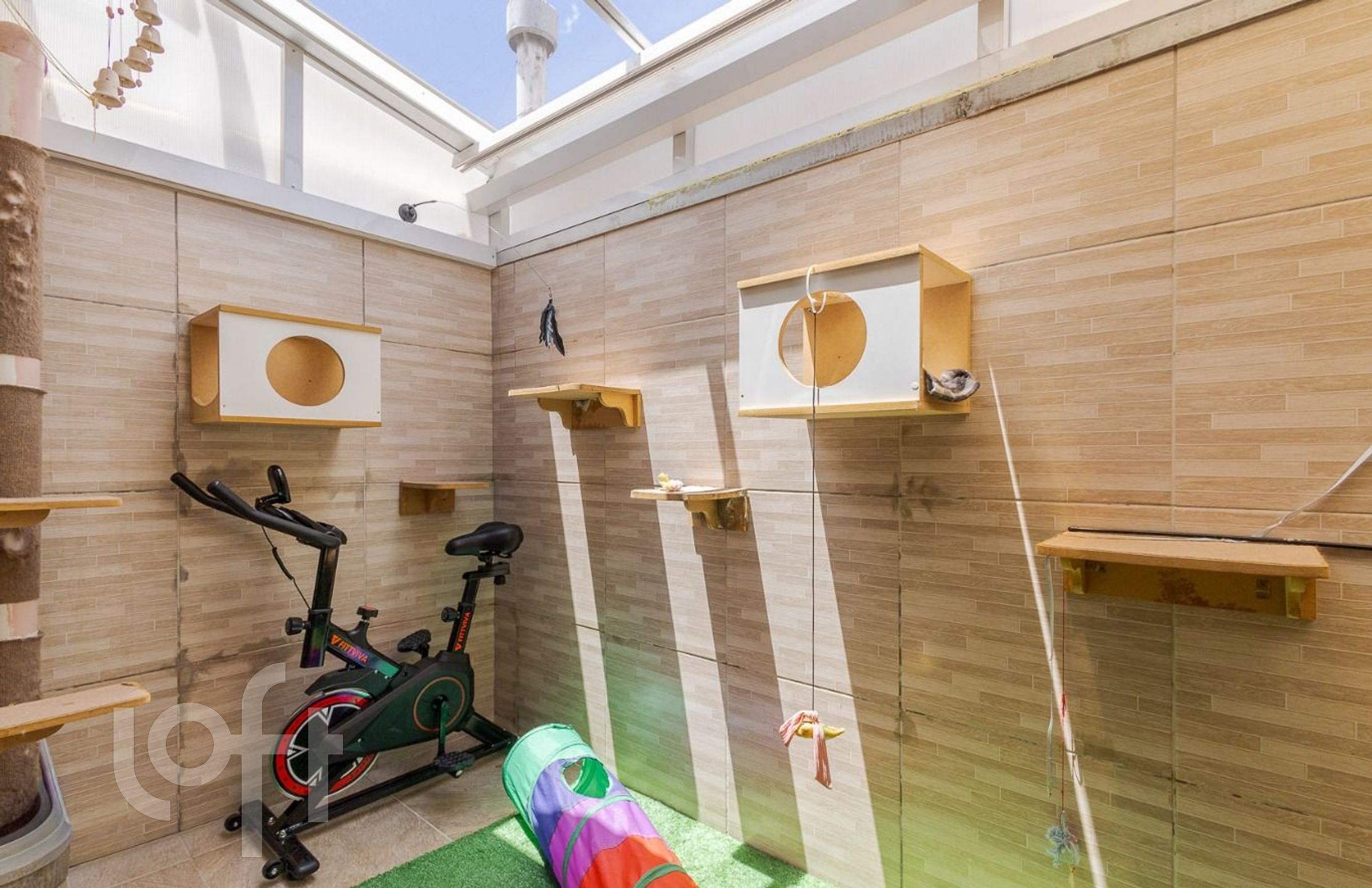 Imagem da propriedade 23