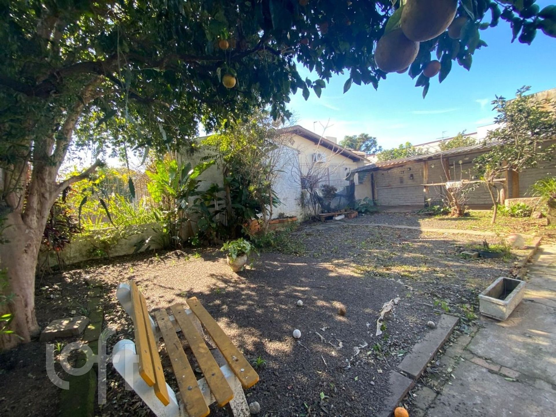 Imagem da propriedade 21