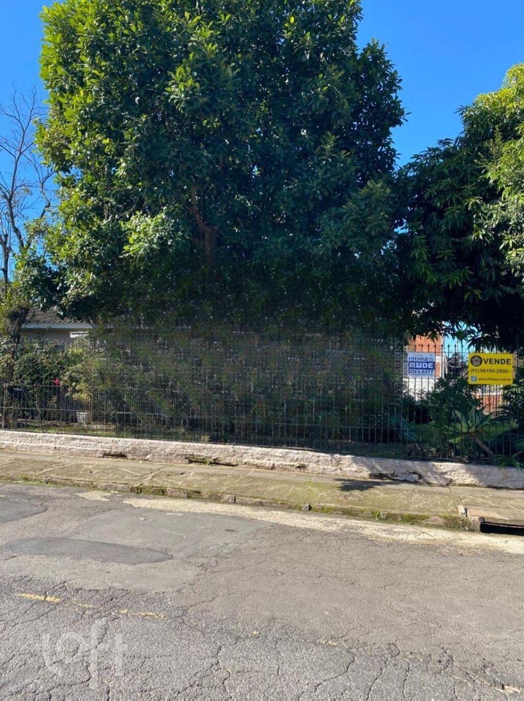 Imagem da propriedade 3