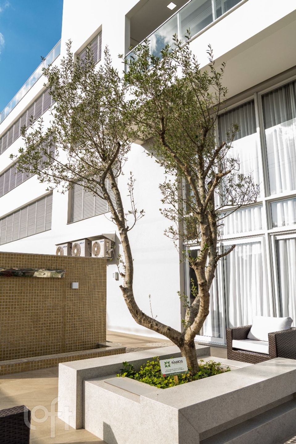 Imagem da propriedade 33