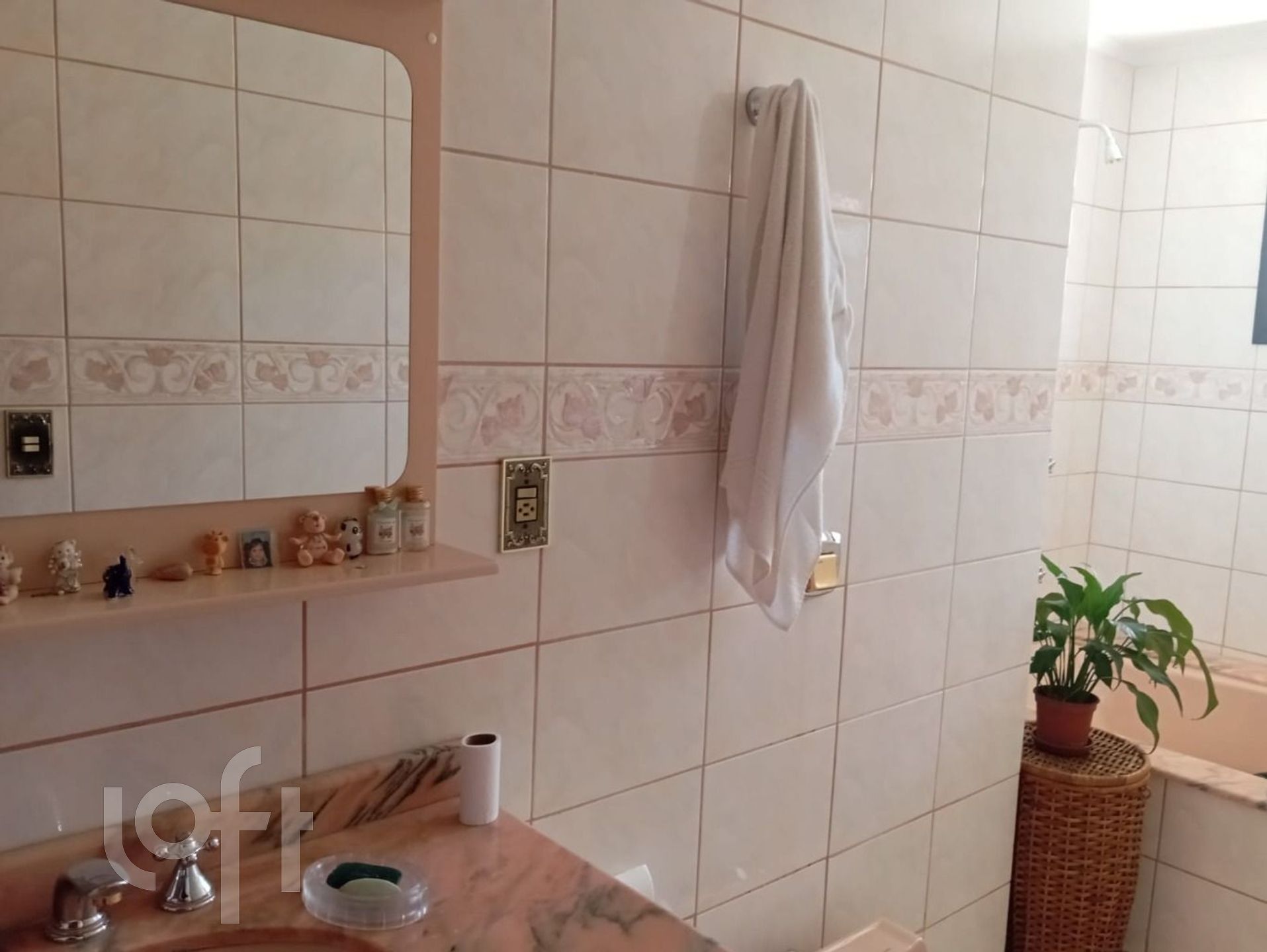 Imagem da propriedade 8