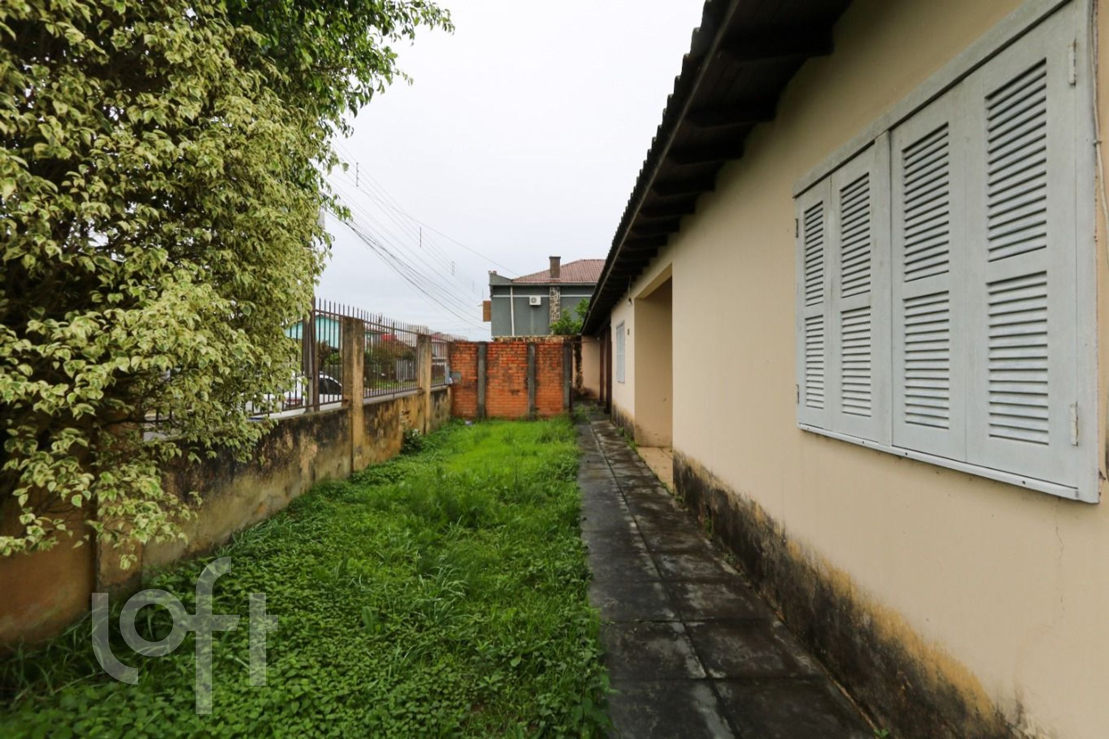 Imagem da propriedade 9