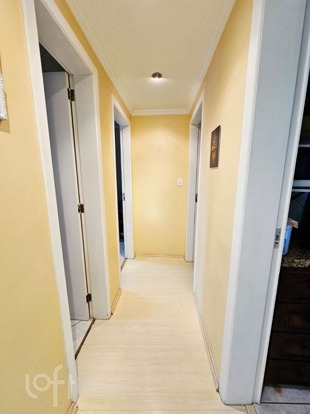 Imagem da propriedade 7