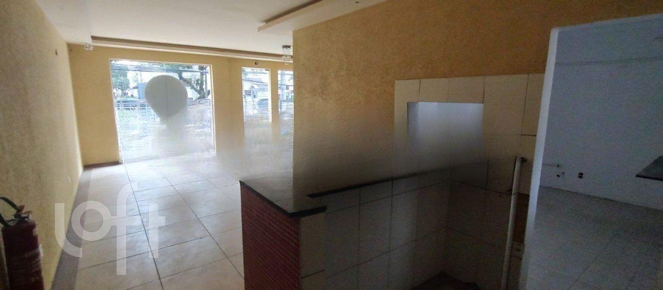 Imagem da propriedade 5