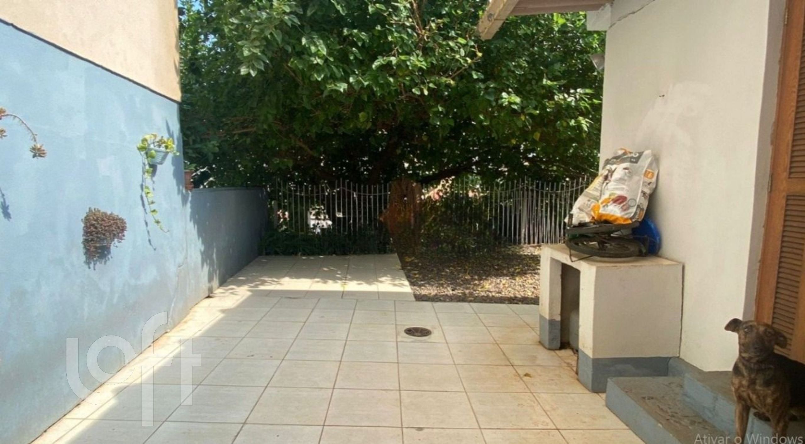 Imagem da propriedade 4