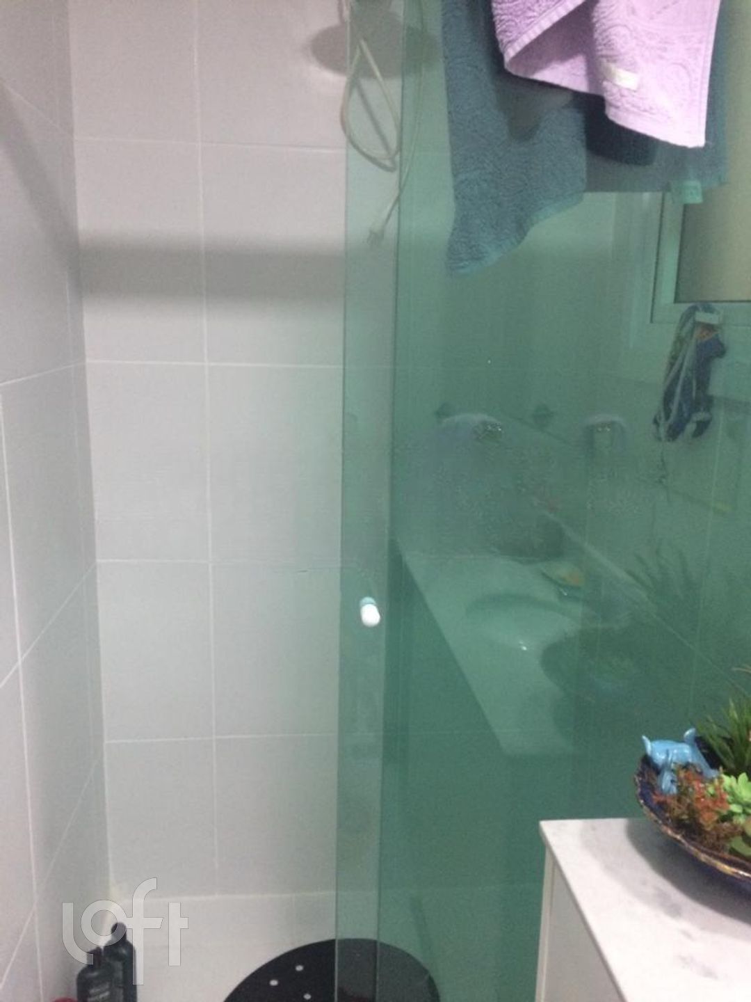 Imagem da propriedade 12