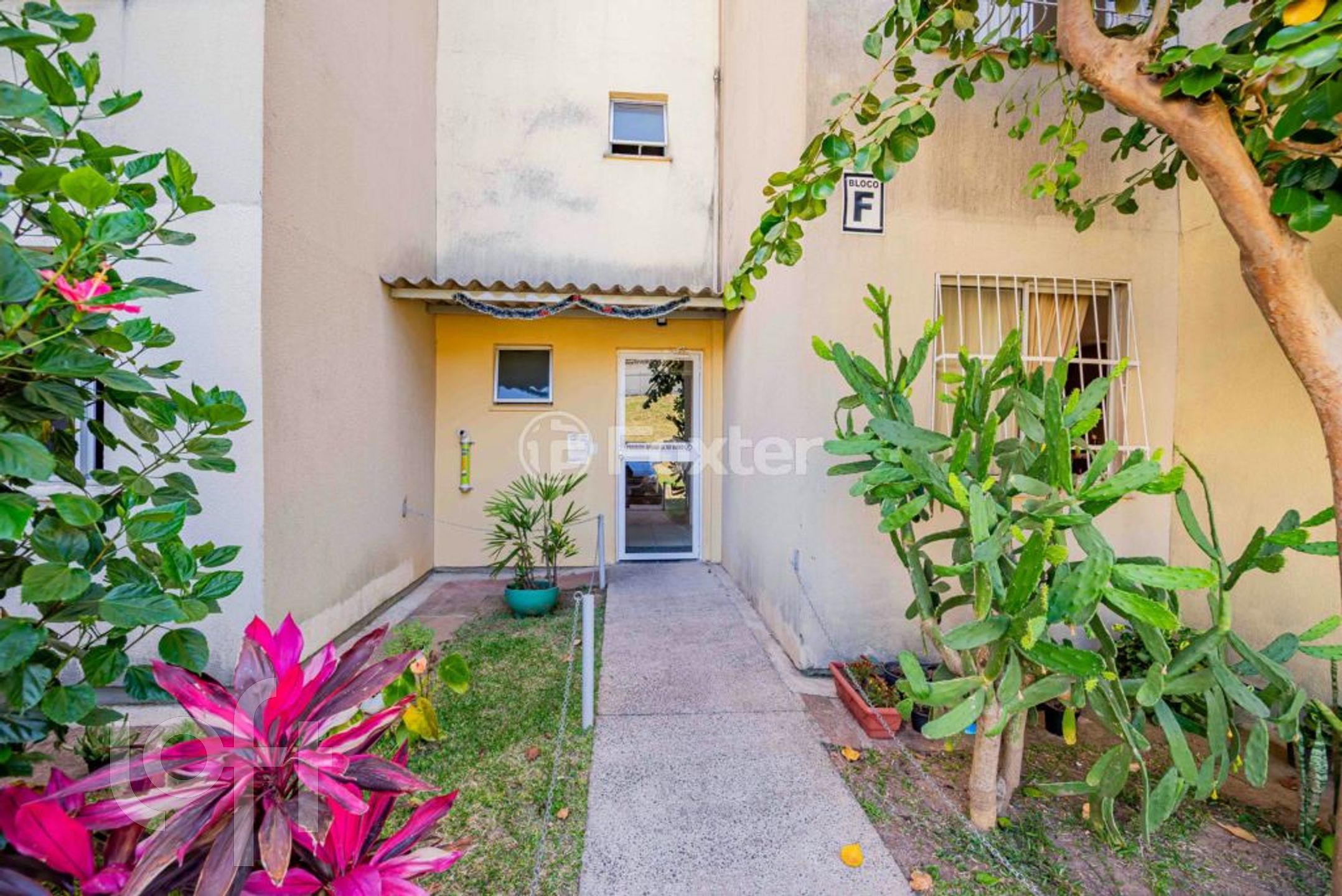 Imagem da propriedade 23