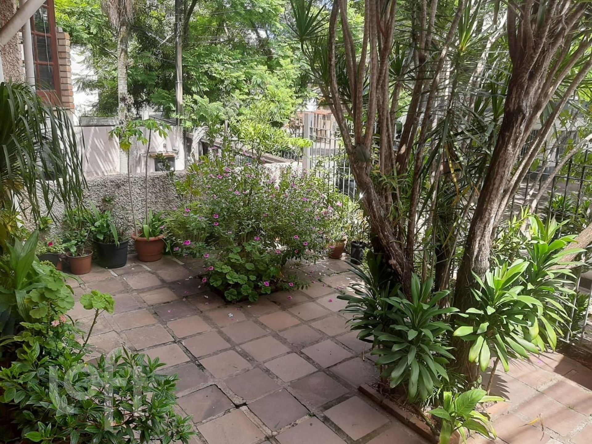 Imagem da propriedade 17