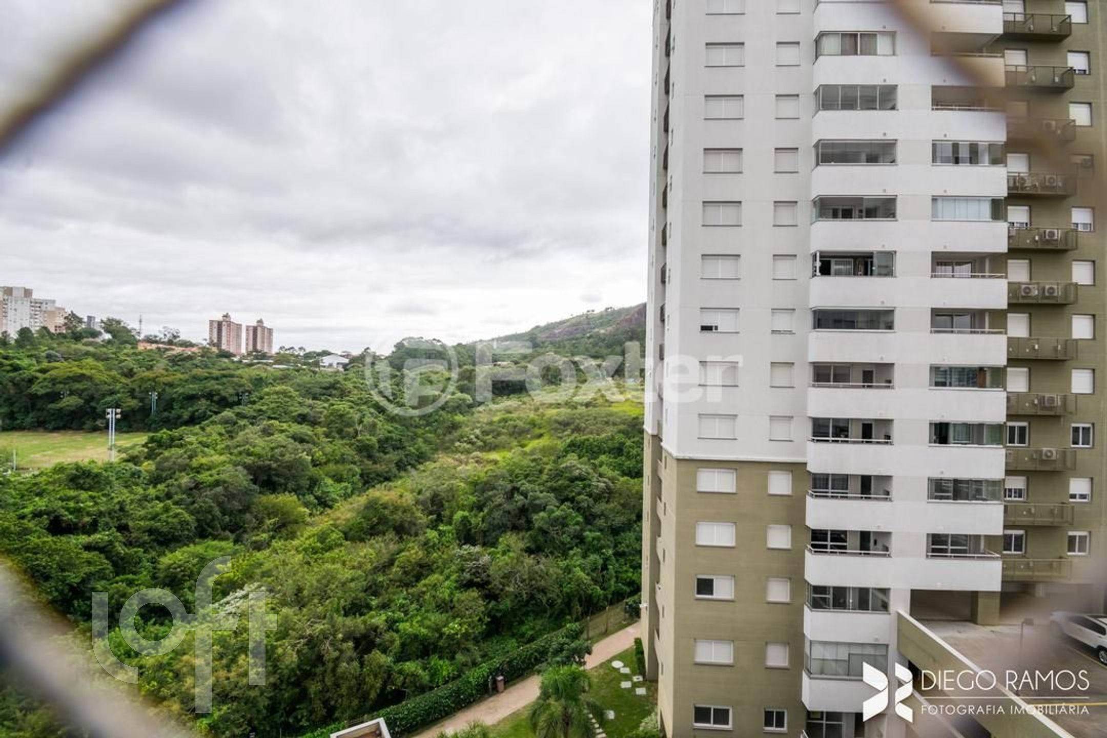 Imagem da propriedade 11