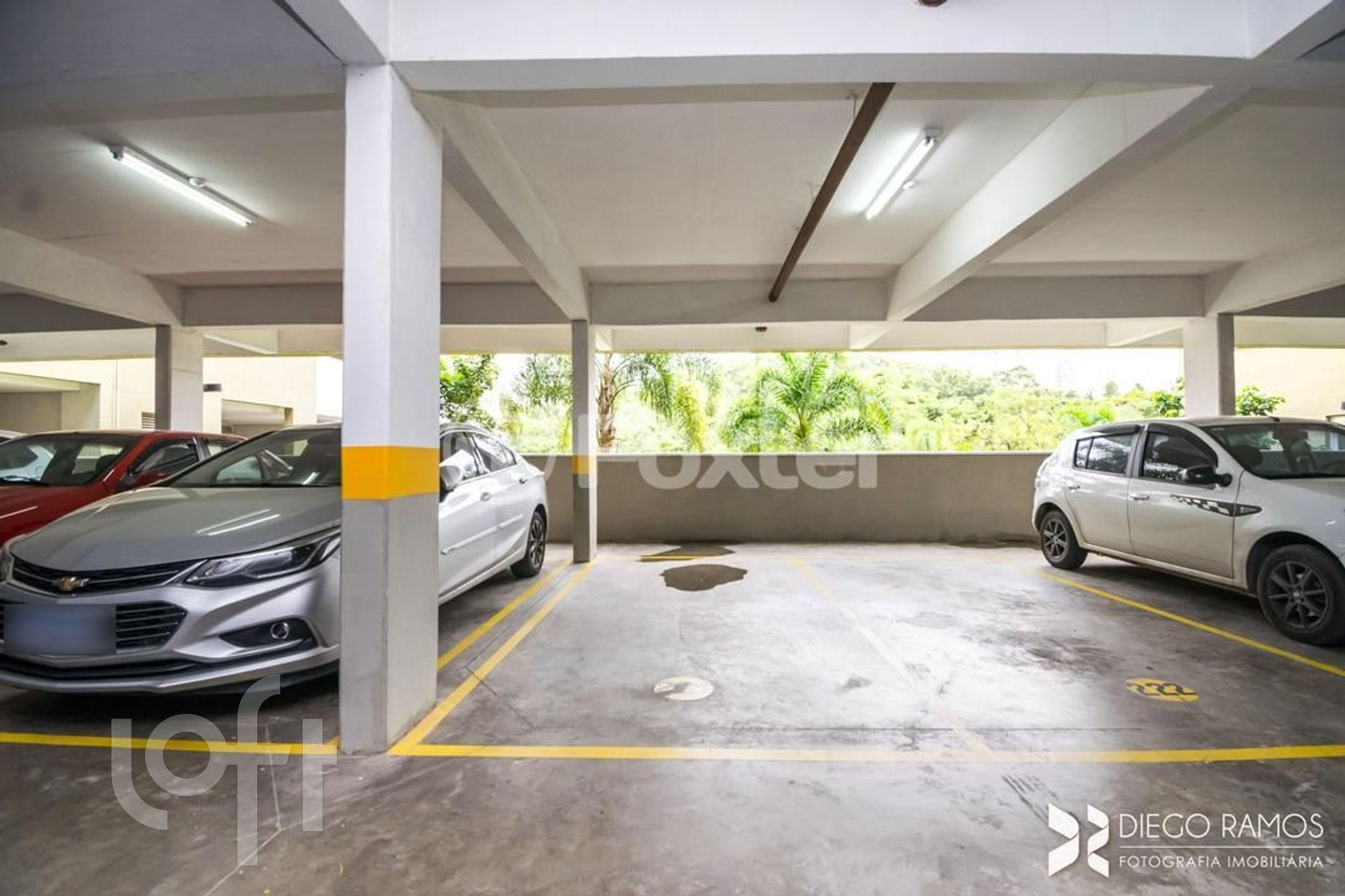 Imagem da propriedade 32