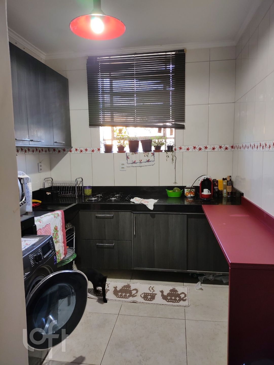 Imagem da propriedade 3