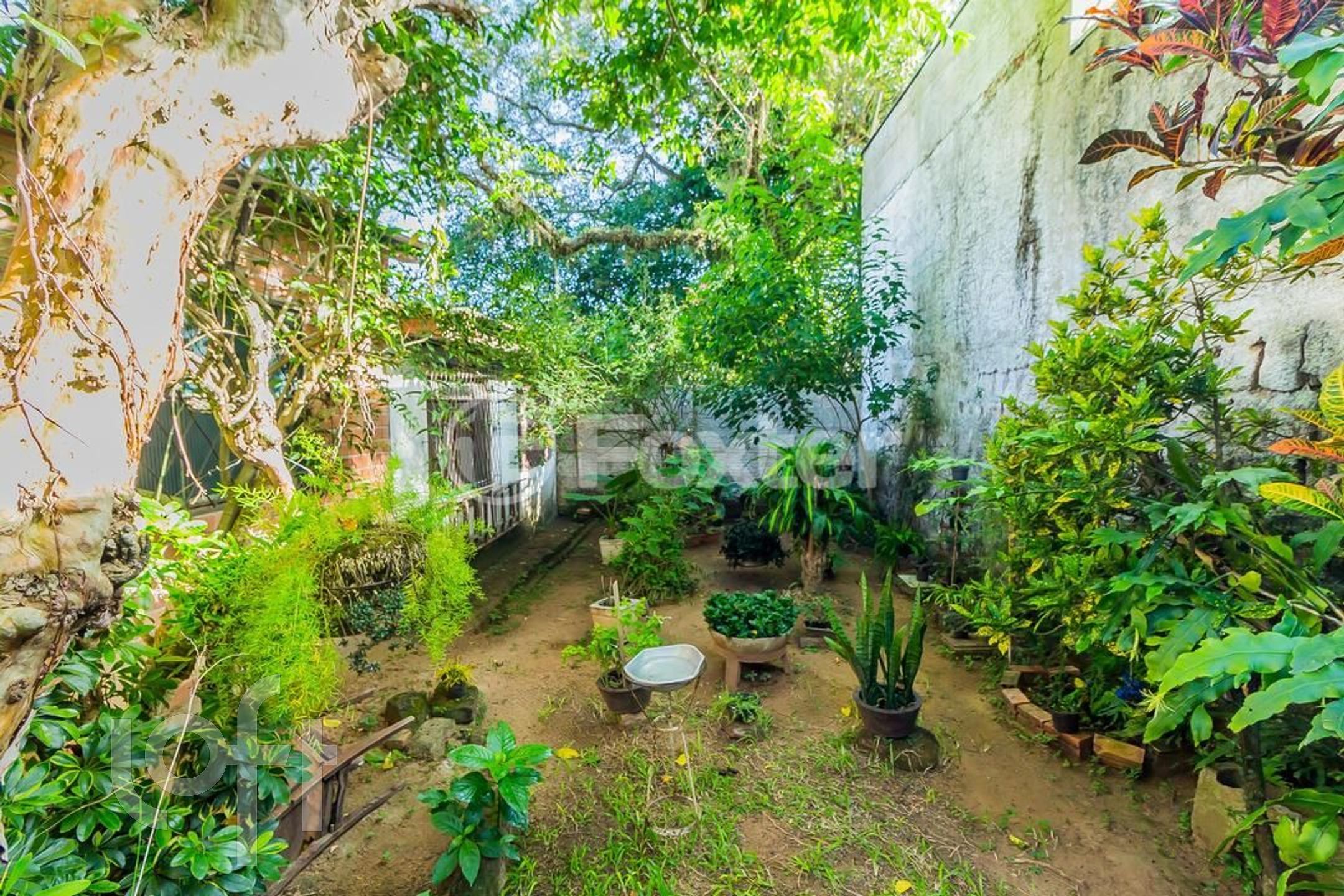 Imagem da propriedade 71