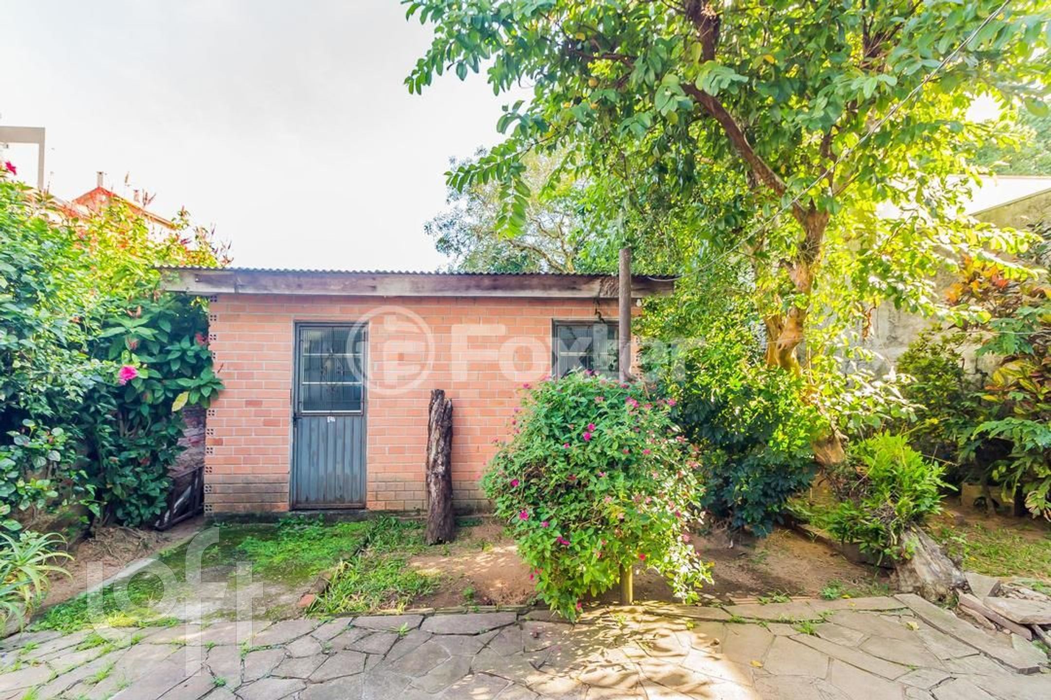 Imagem da propriedade 69