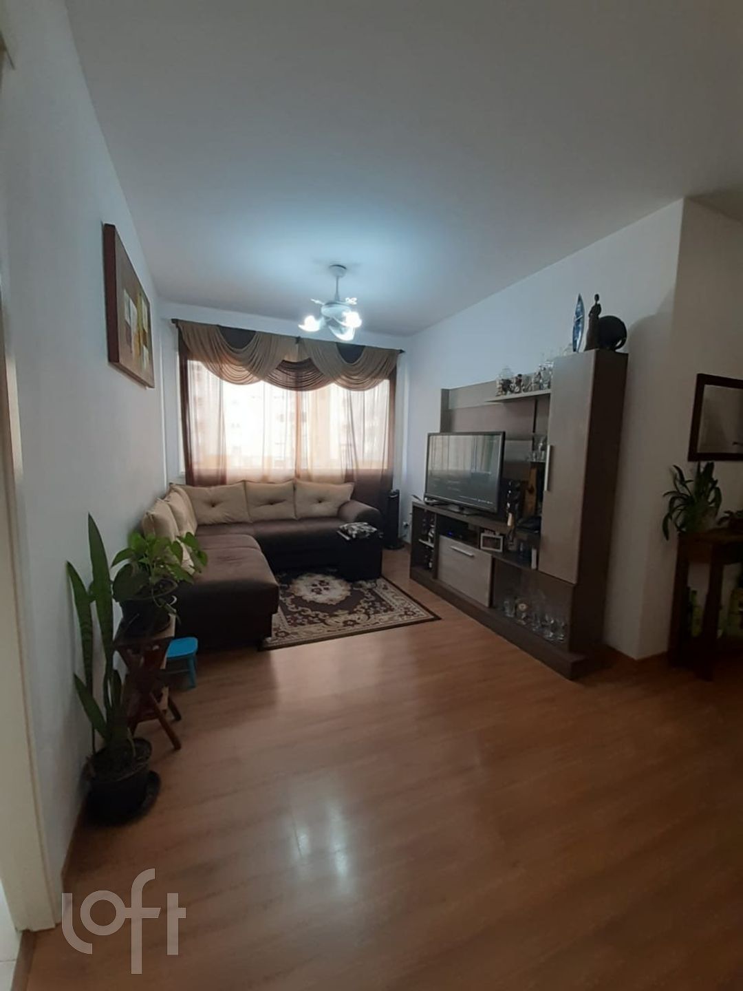 Imagem da propriedade 13