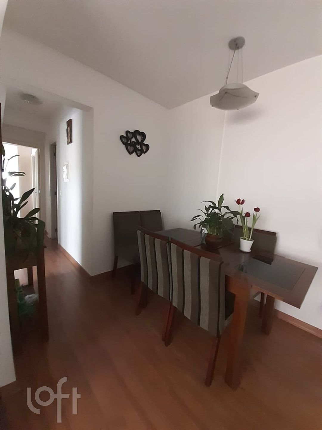 Imagem da propriedade 16