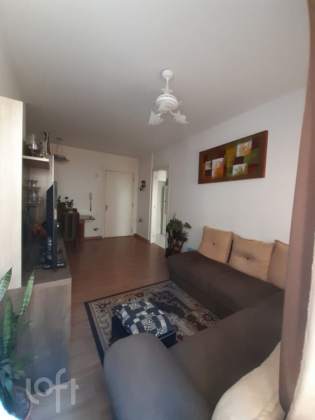 Imagem da propriedade 15