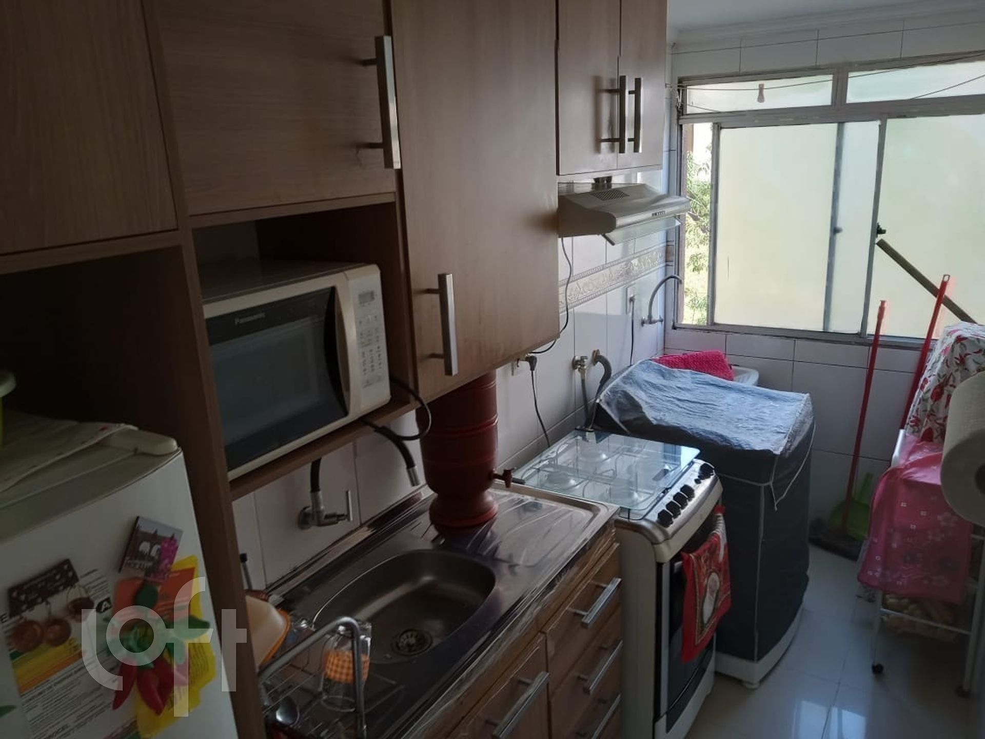 Imagem da propriedade 3