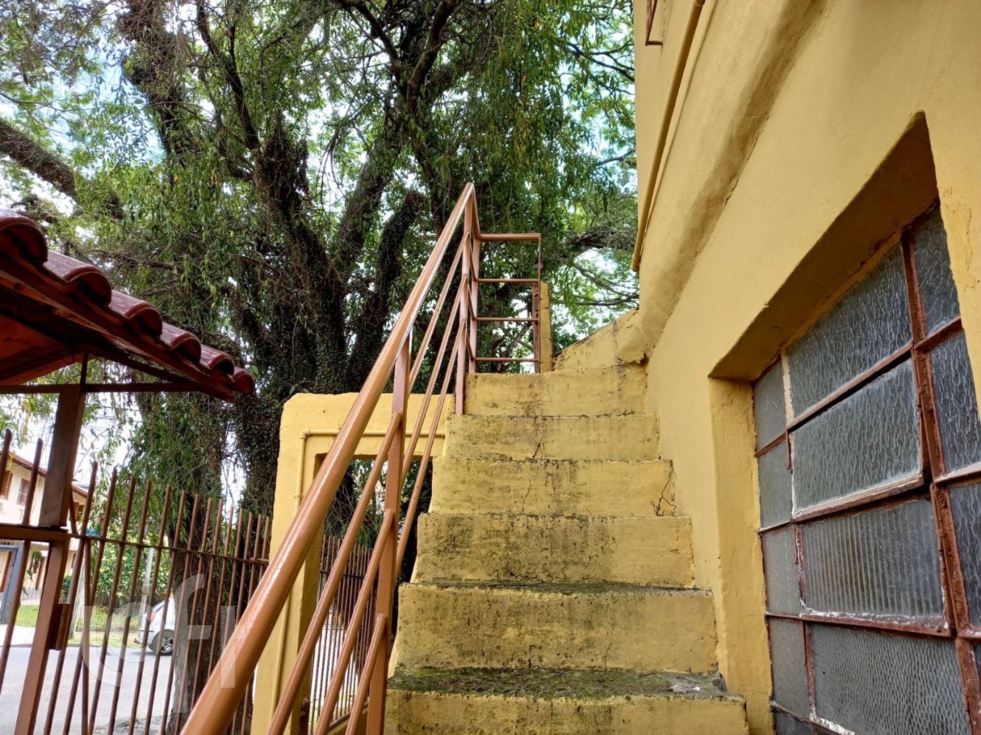 Imagem da propriedade 25