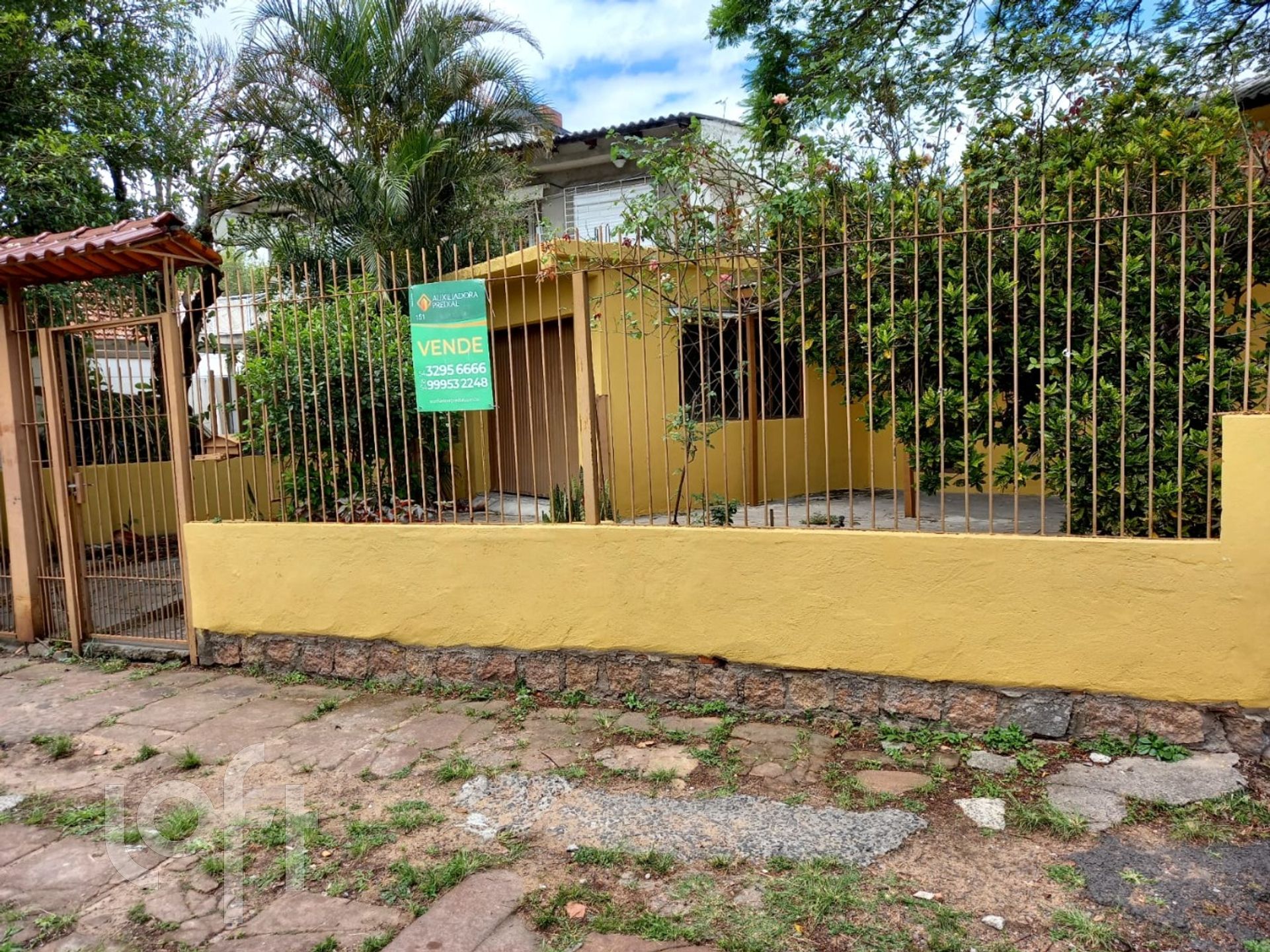 Imagem da propriedade 33