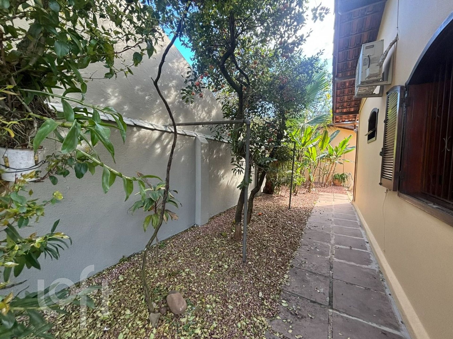 Imagem da propriedade 34