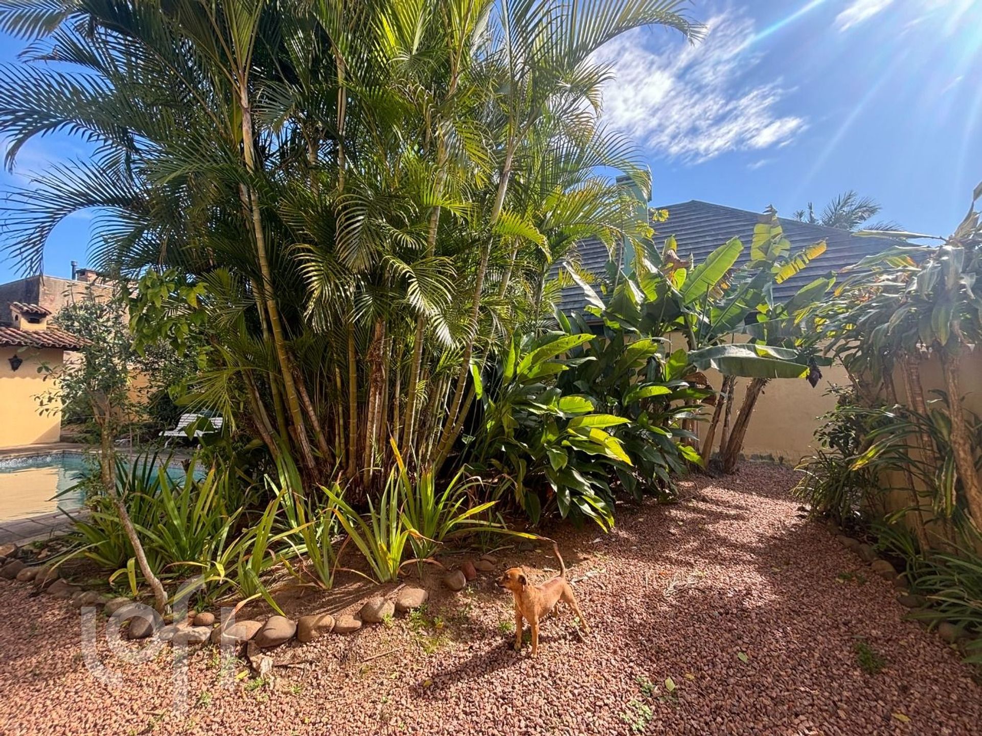 Imagem da propriedade 35