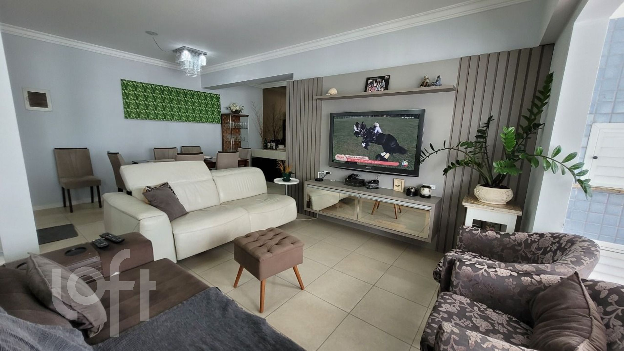 Imagem da propriedade 3