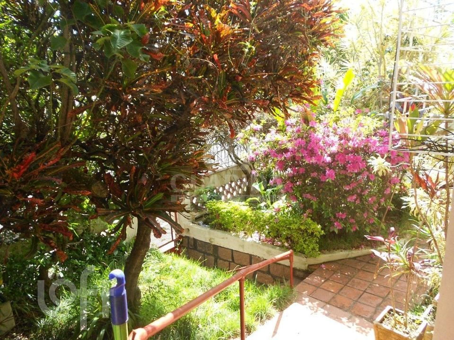 Imagem da propriedade 6