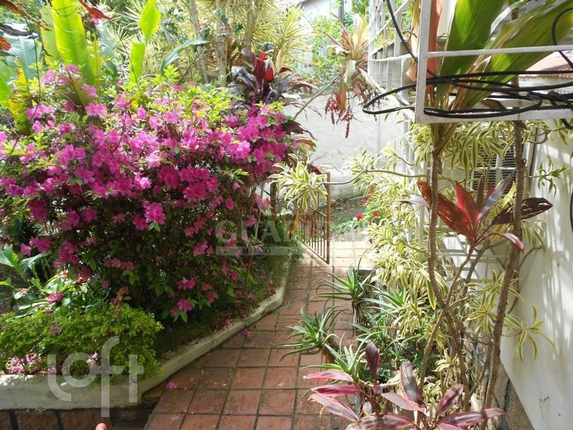 Imagem da propriedade 7