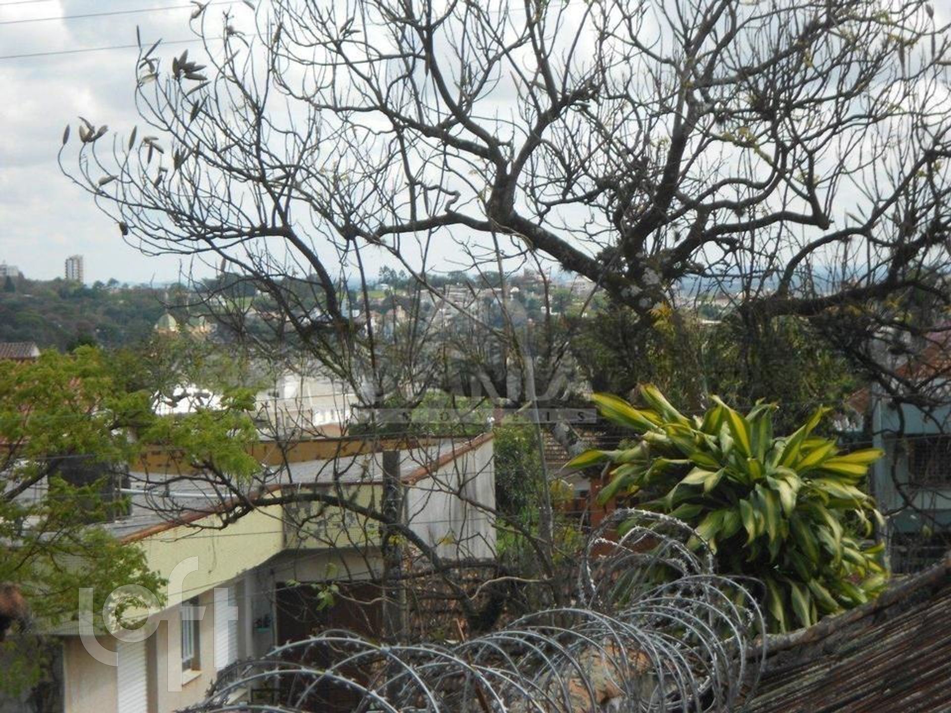 Imagem da propriedade 22