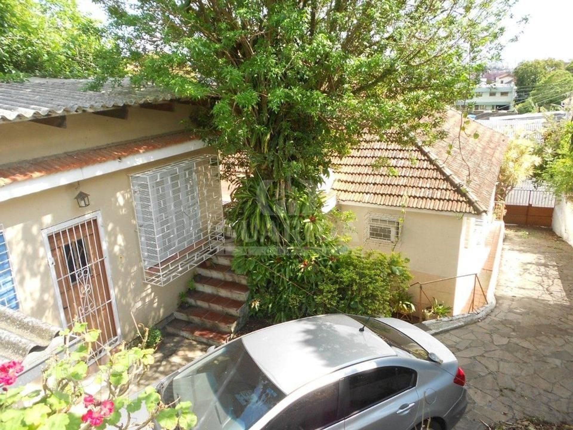 Imagem da propriedade 5