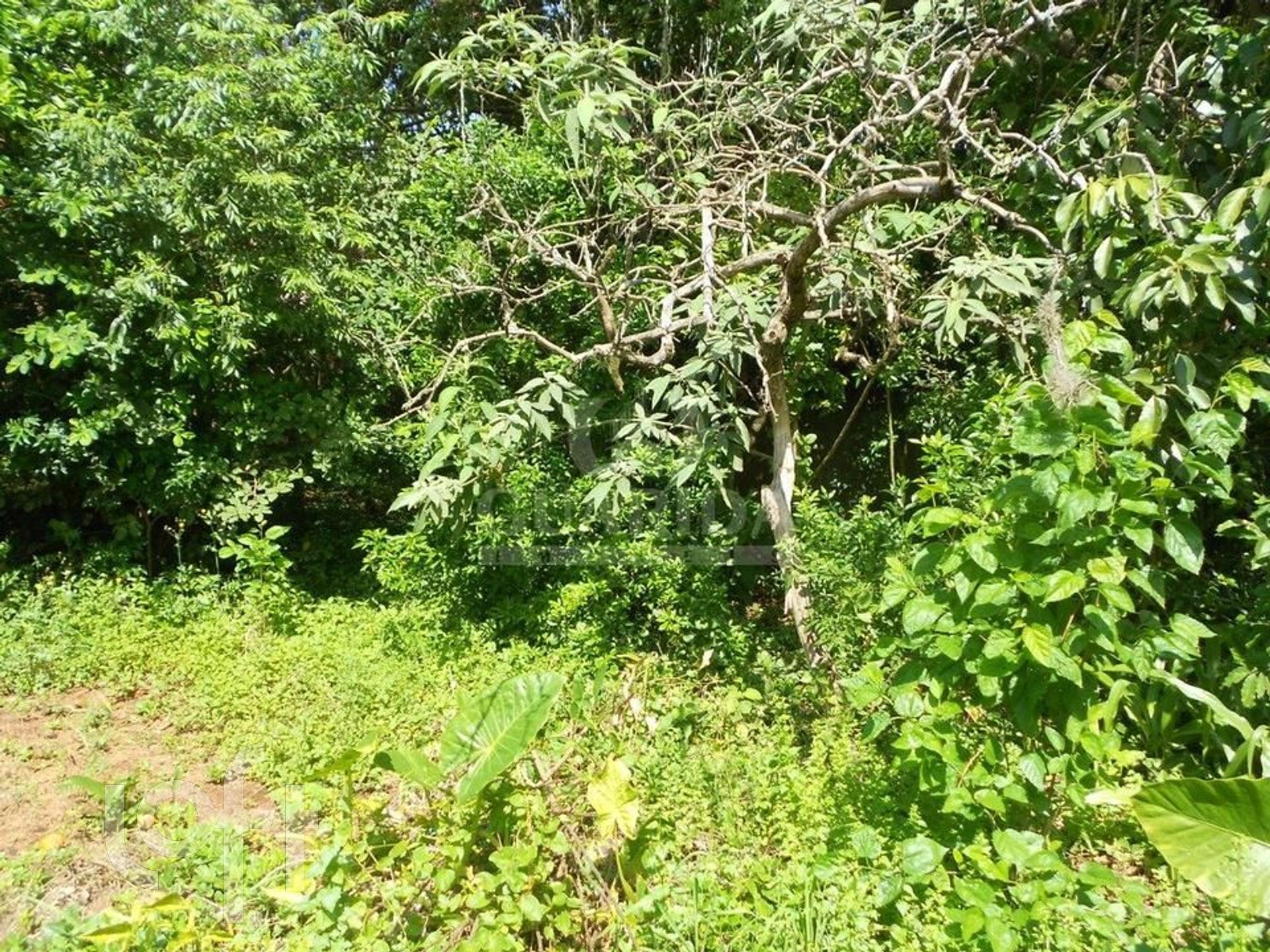 Imagem da propriedade 24