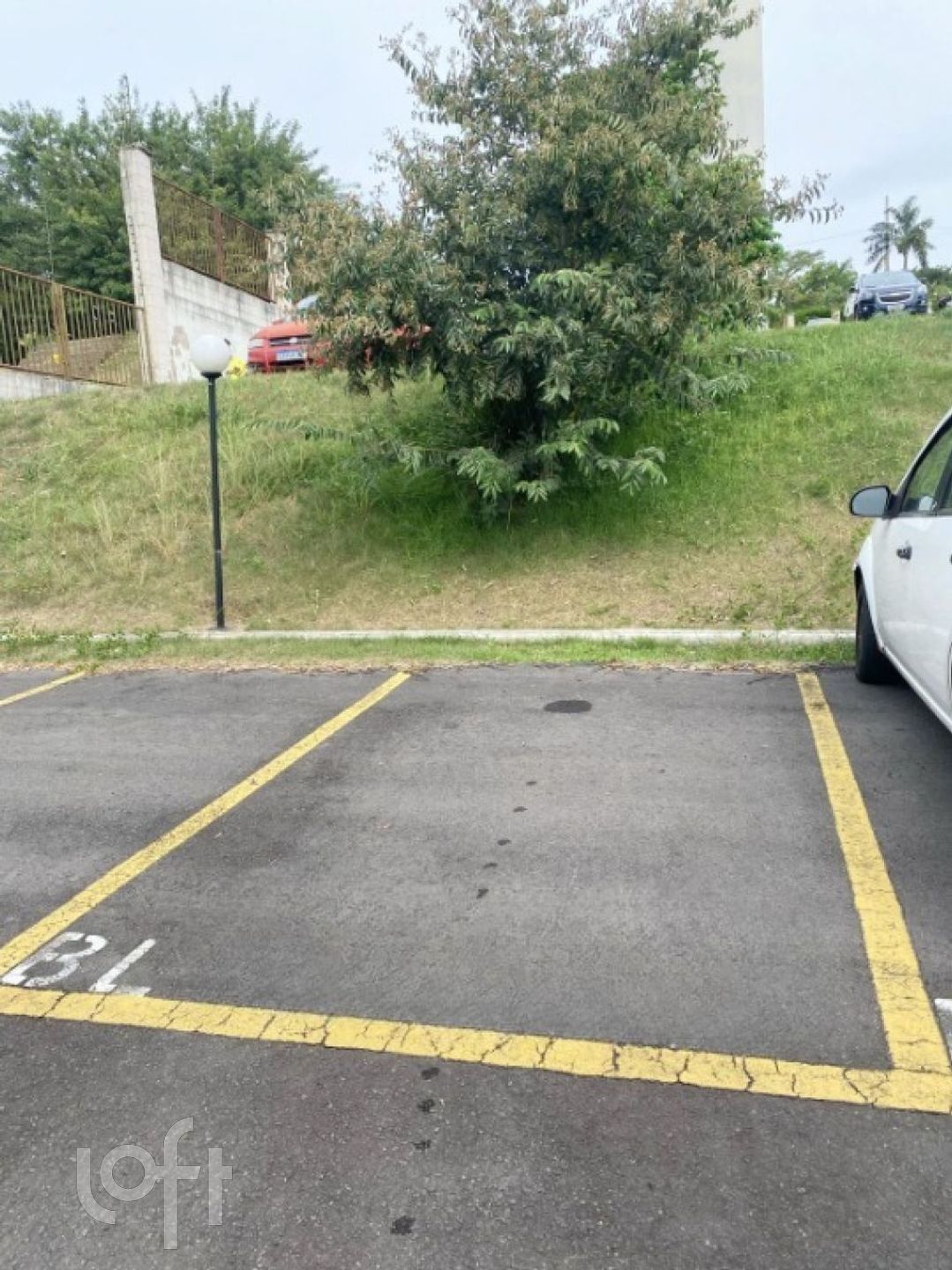 Imagem da propriedade 16