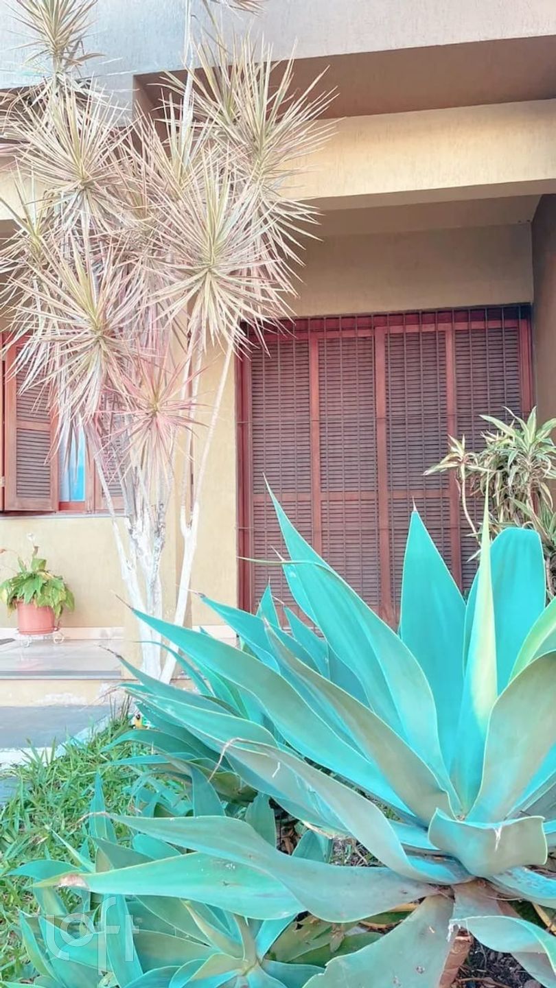 Imagem da propriedade 27