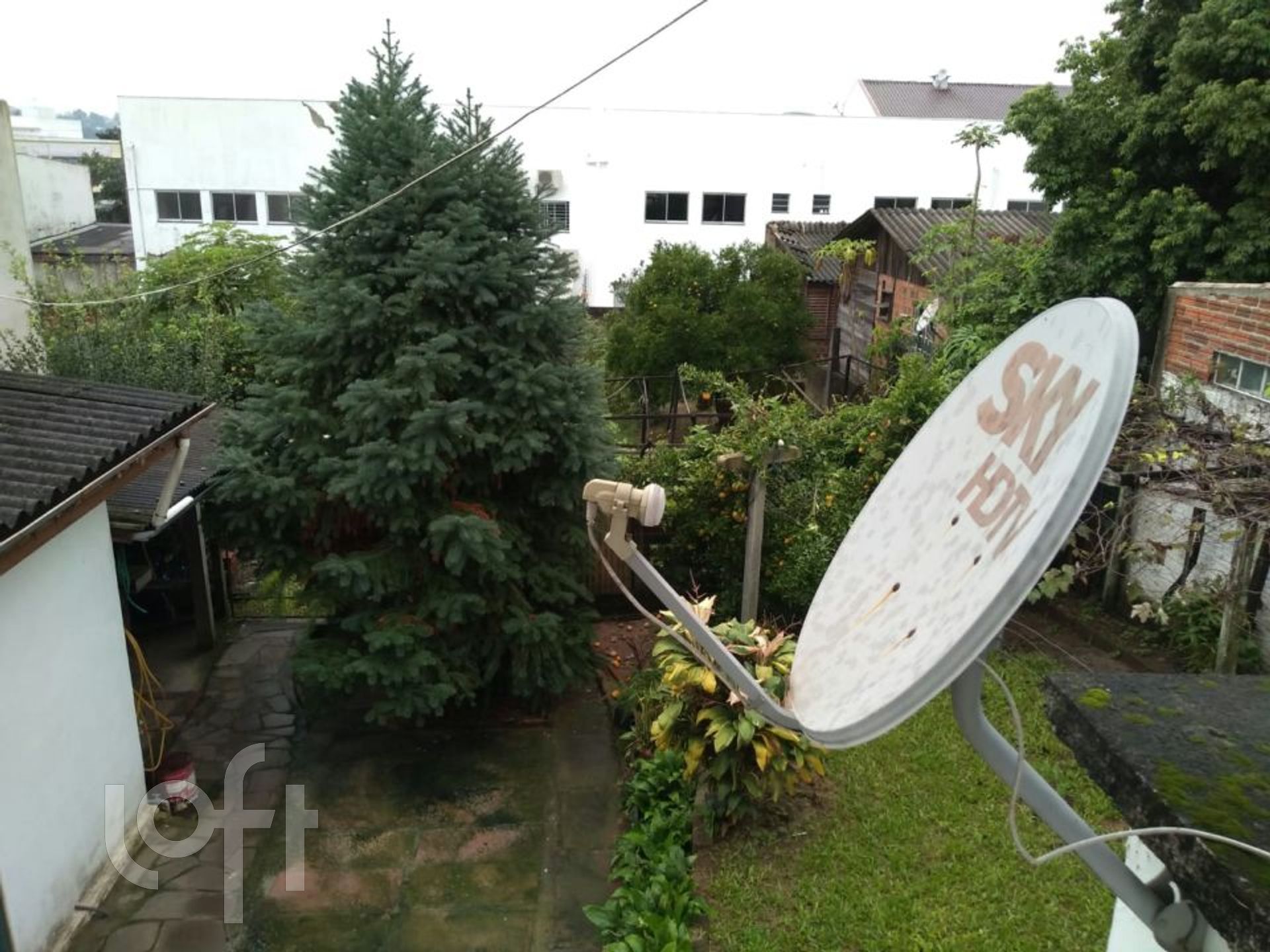 Imagem da propriedade 20