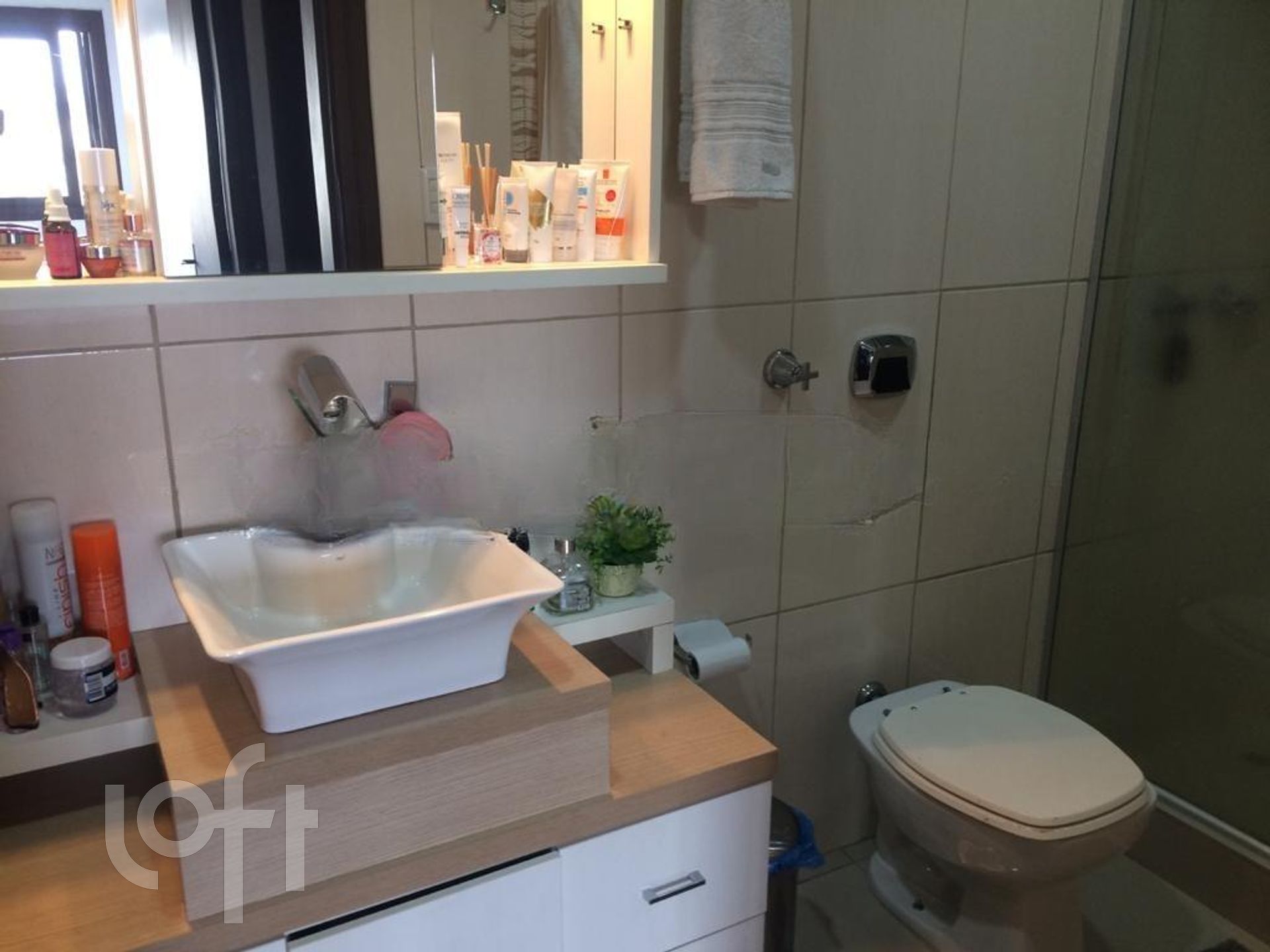 Imagem da propriedade 13