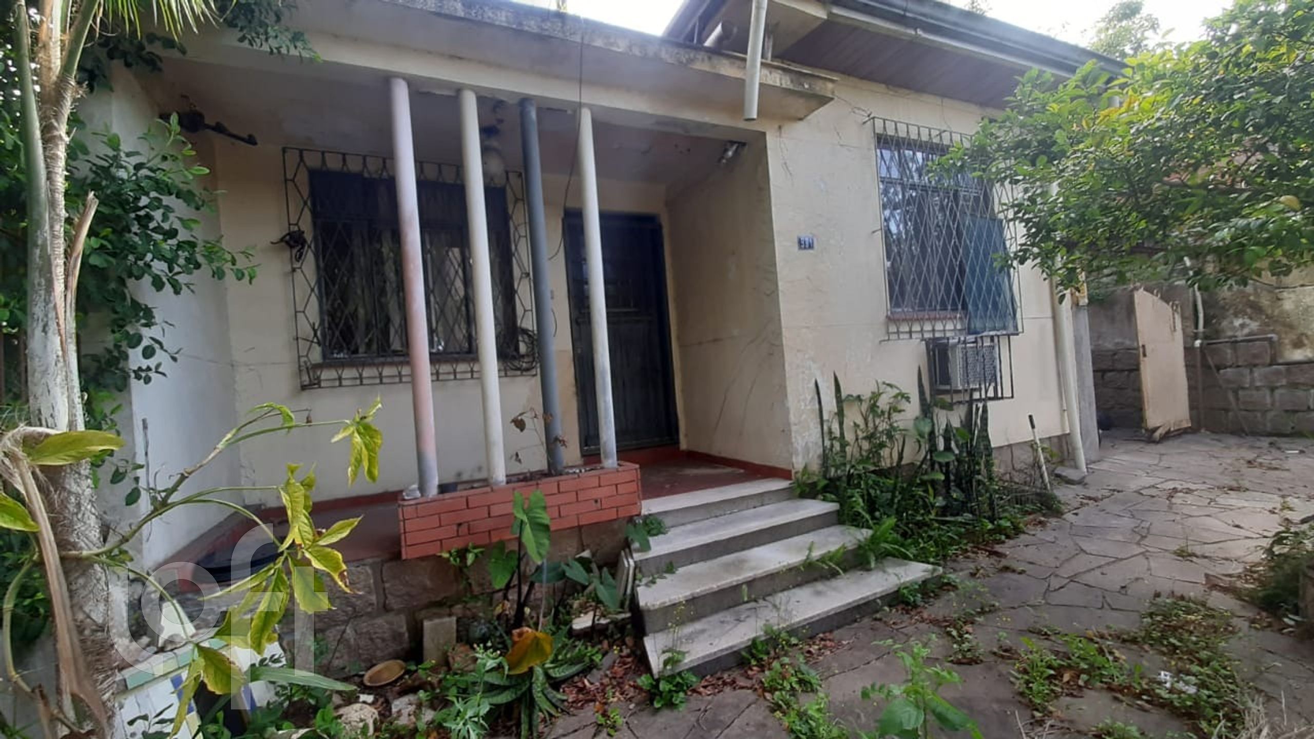 Imagem da propriedade 5